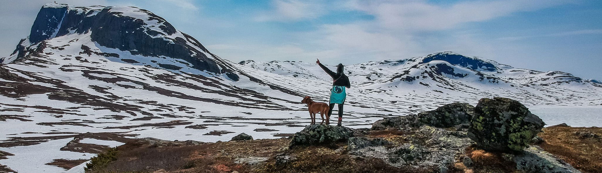Person steht in freier Natur neben einem braunen Hund und zeigt in die Luft